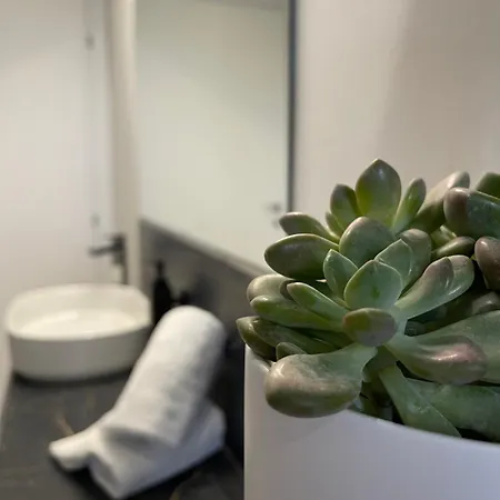 Casa Le Formiche Your In Appartement