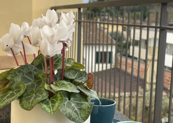 Casa Le Formiche Your In Φλωρεντία